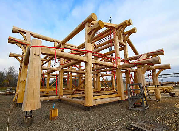 Post and Beam – прочный каркас из многовековых стволов кедра или сосны.